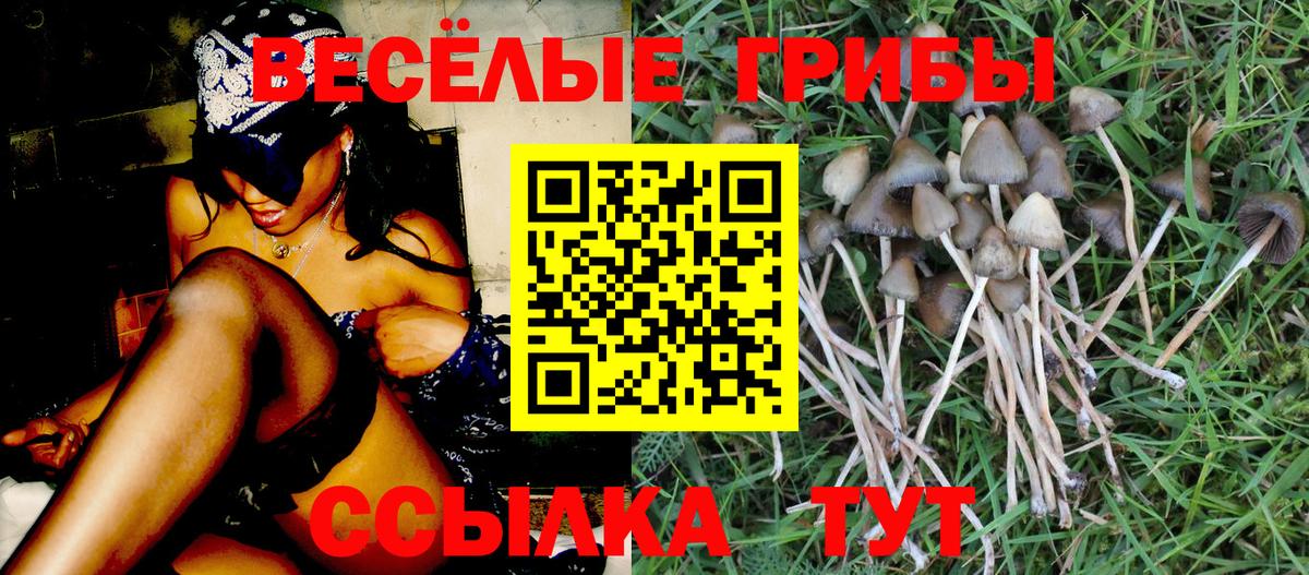 МЕФ   Гашиш  Магазины продажи наркотиков  МЕТАМФЕТАМИН  Вход с VPN  Фрязино  Каннабис 