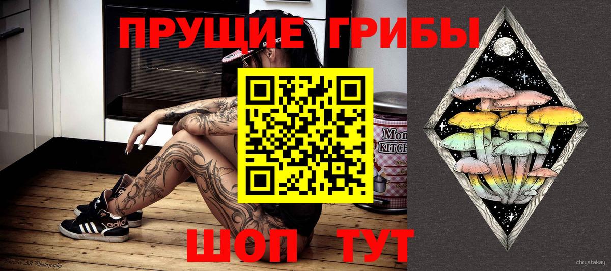 Галлюциногенные грибы мухоморы  Галлюциногенные грибы GOLDEN TEACHER  Фрязино  Вход с VPN 