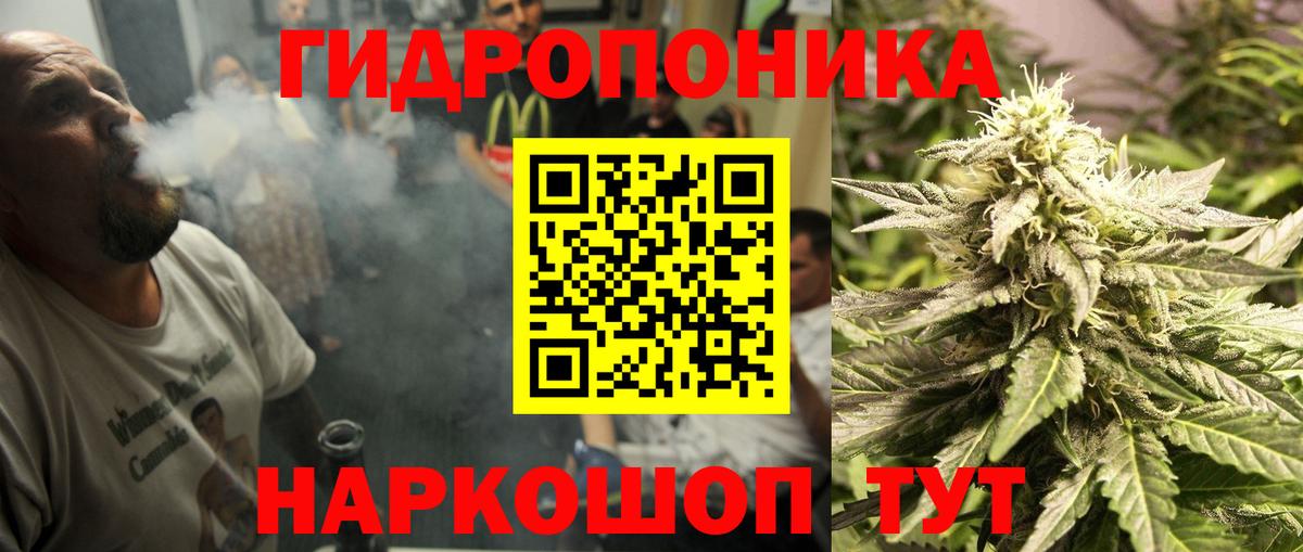 Марихуана OG Kush Фрязино